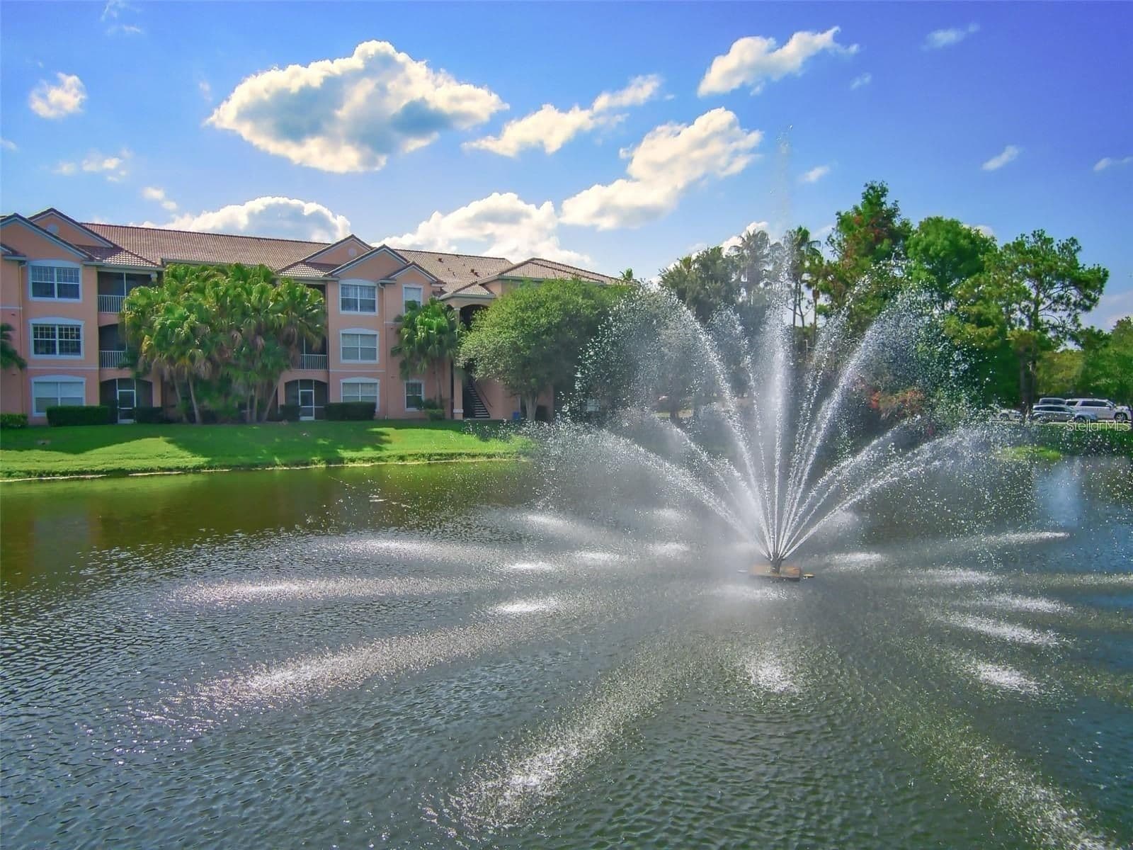 13584 TURTLE MARSH