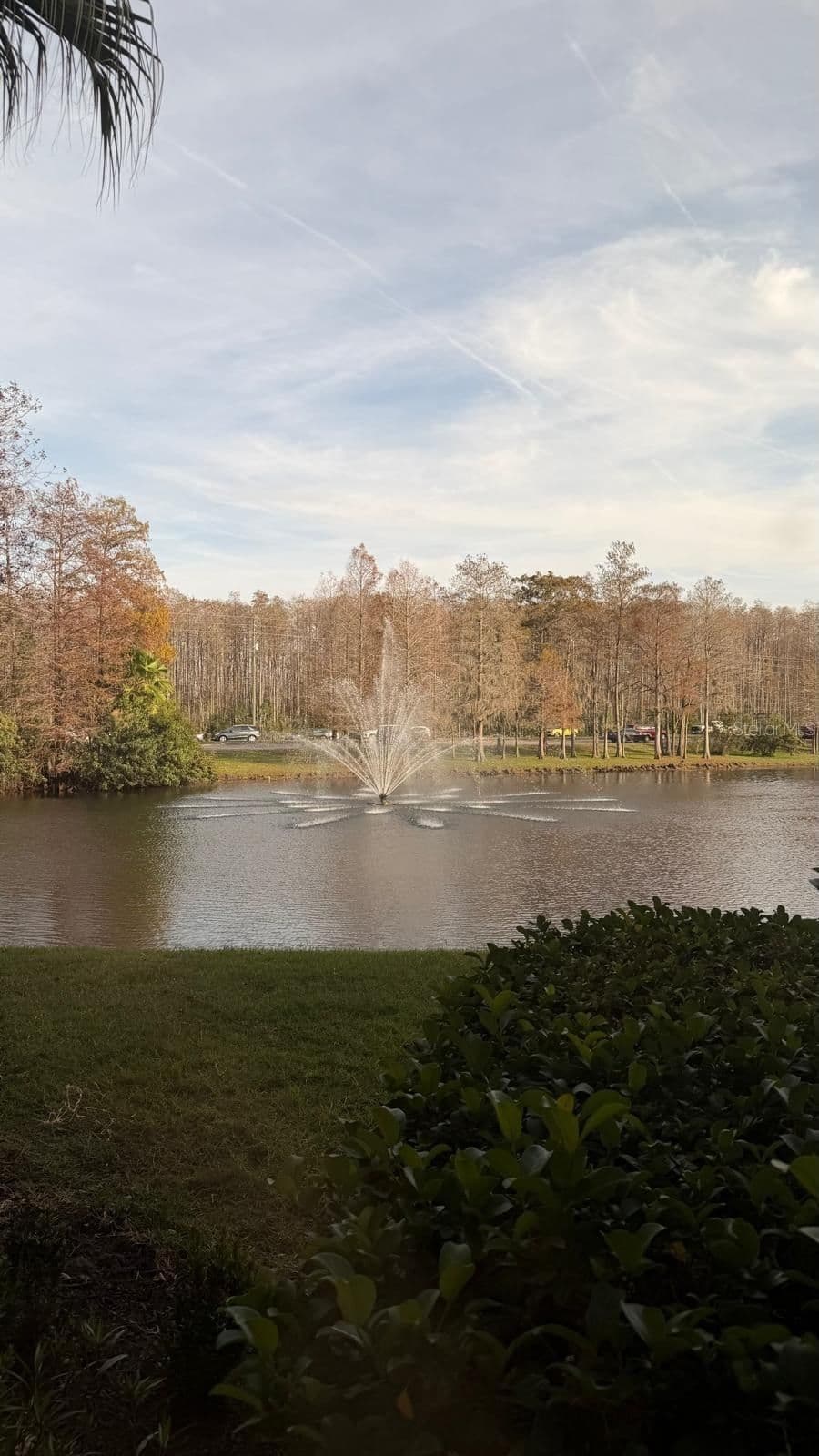 13584 TURTLE MARSH