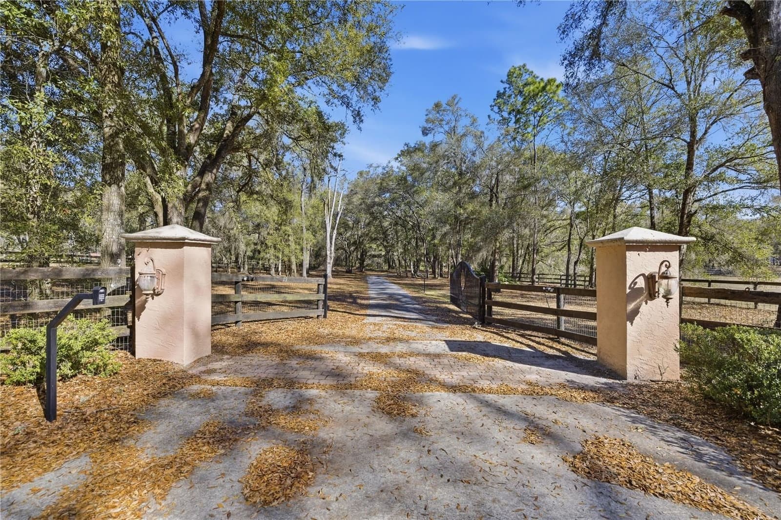 19 NORTHERN DANCER