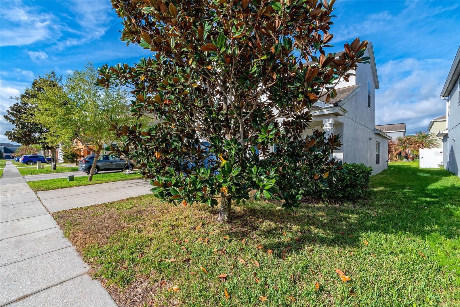 1210 BASSANO