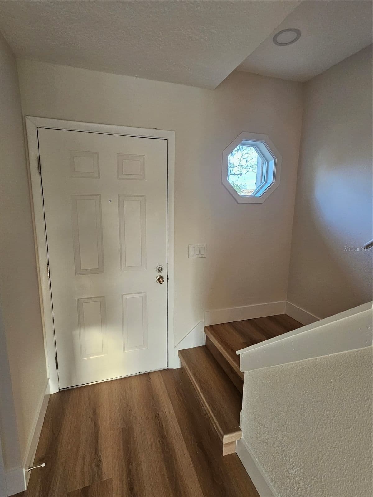 11730 WHITEWING