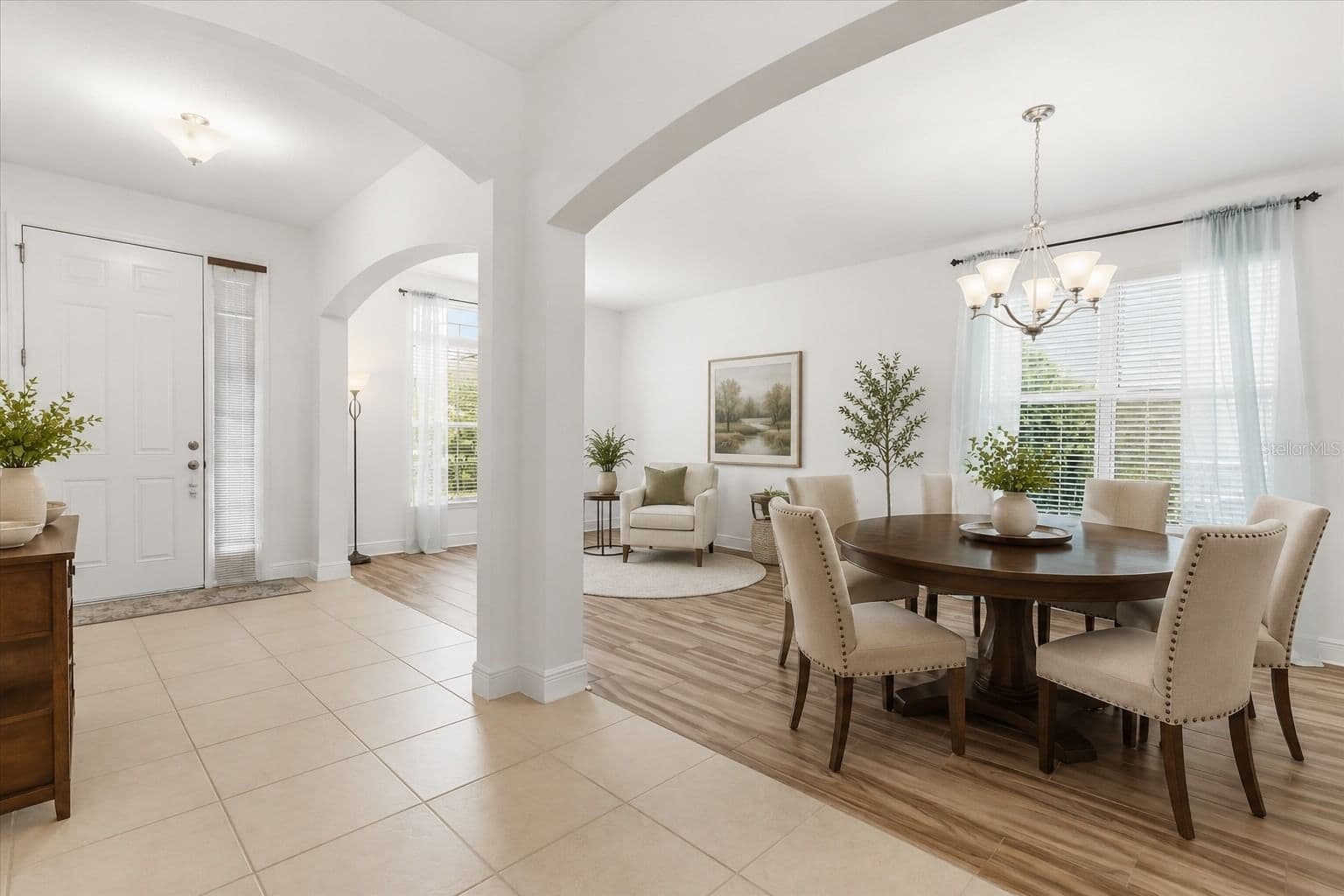 10536 CABBAGE TREE