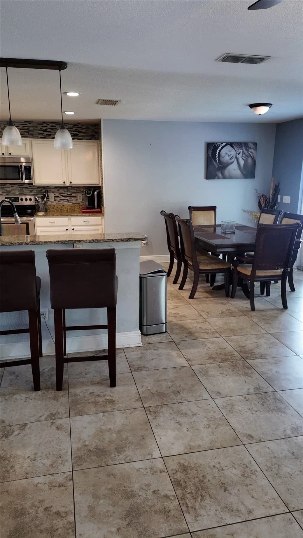 Photo 5 of 1042 HORSESHOE FALLS Drive