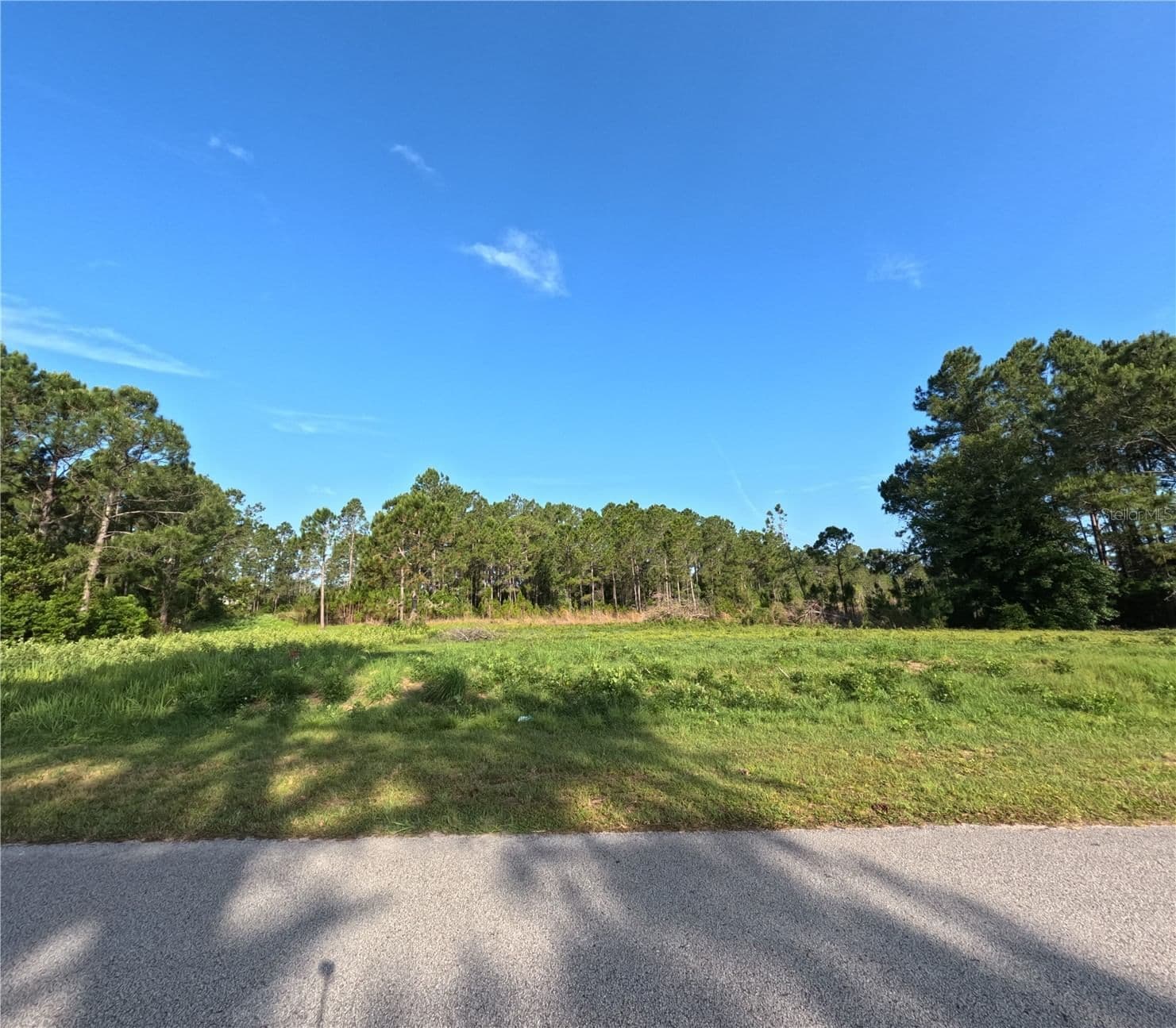 Photo 4 of 11031 ARROWTREE