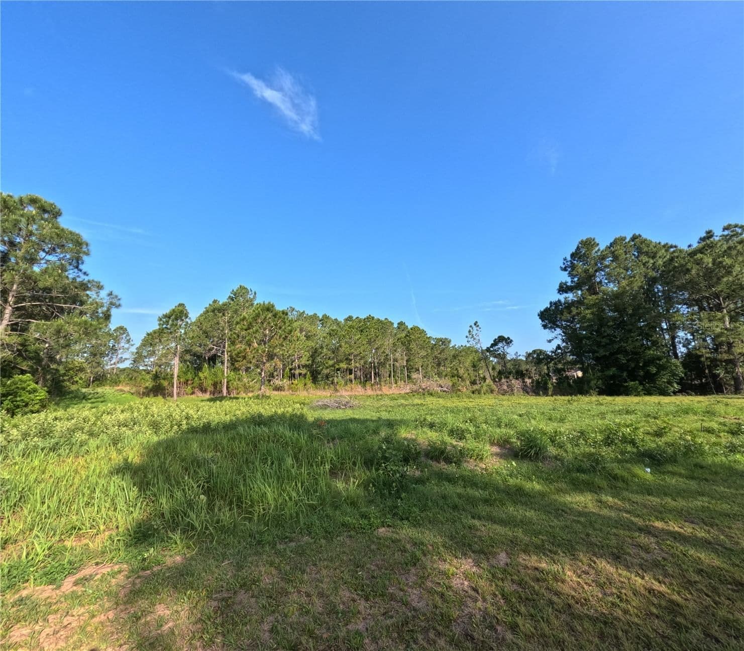 Photo 5 of 11031 ARROWTREE
