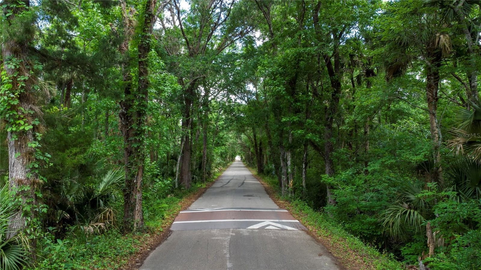 Photo 4 of 651 COUNTY ROAD 13