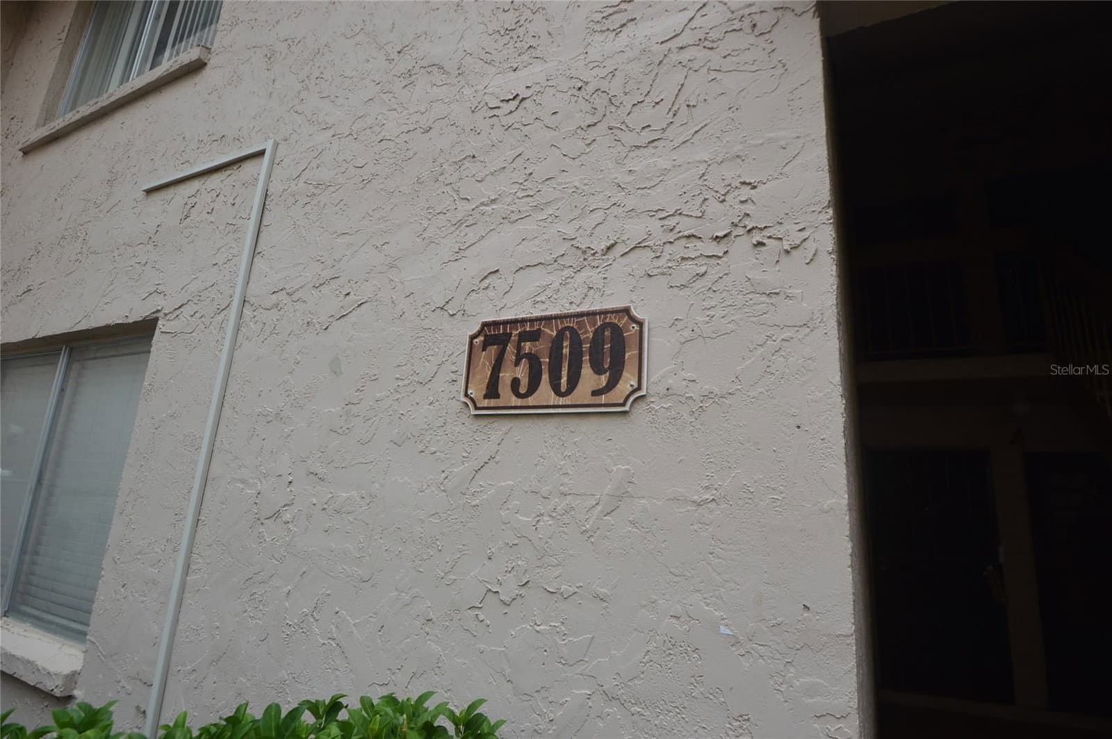 7509 PRESLEY