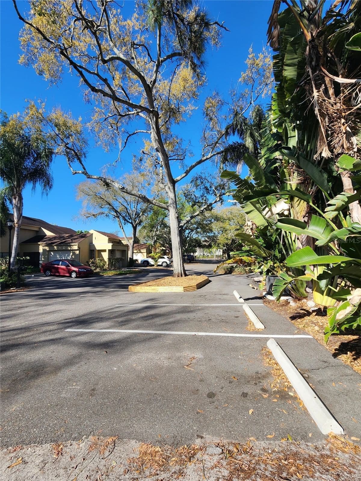 Photo 5 of 3402 ELLENWOOD