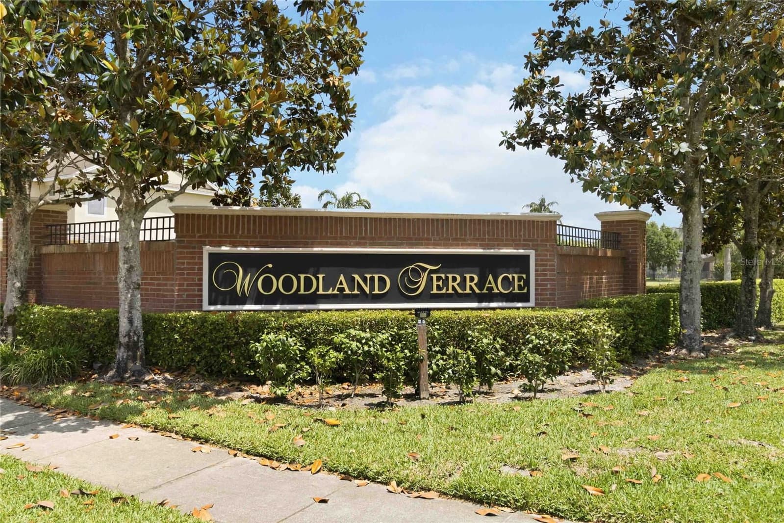 534 TERRACE SPRING