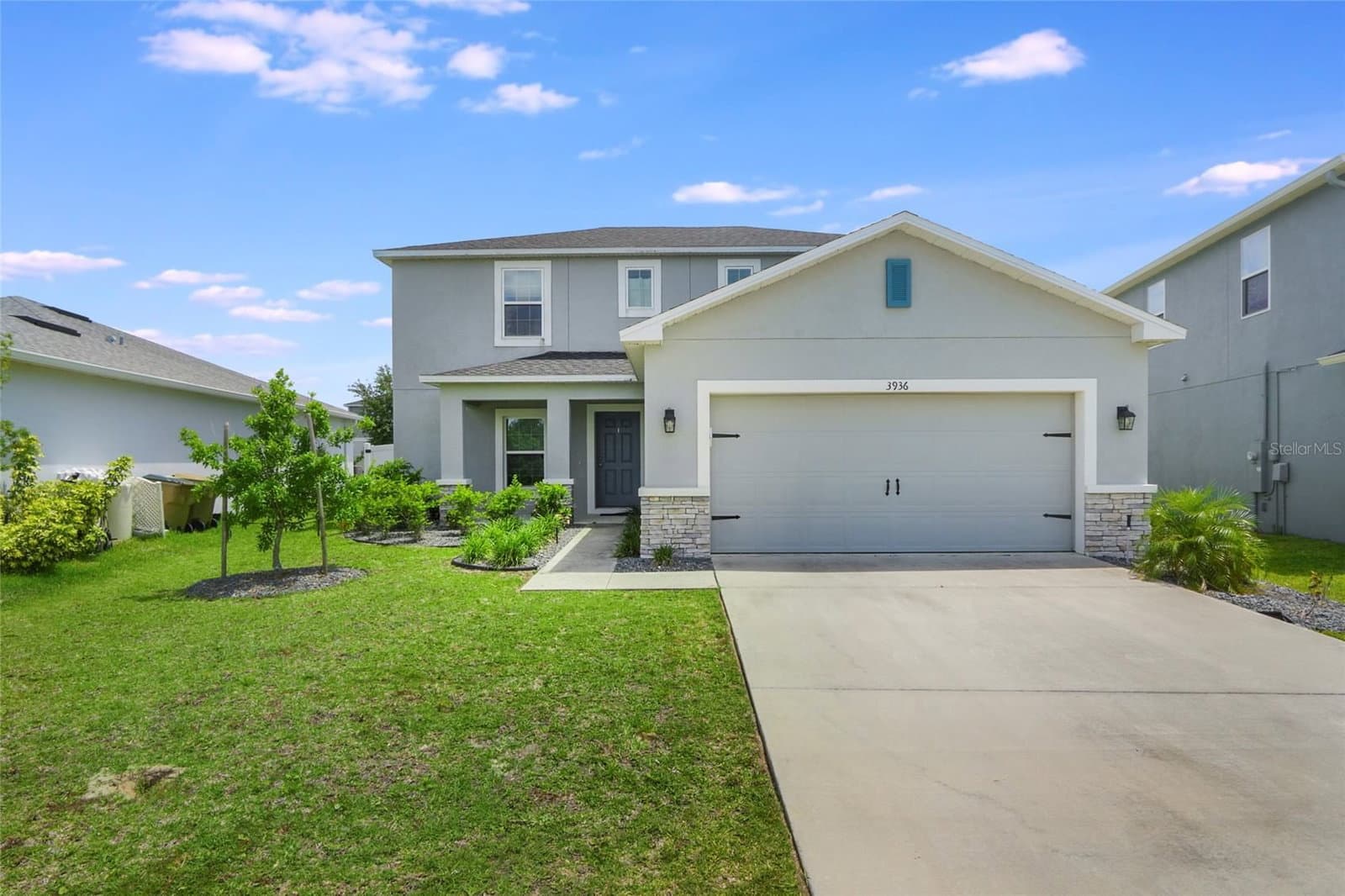 3936 FESCUE