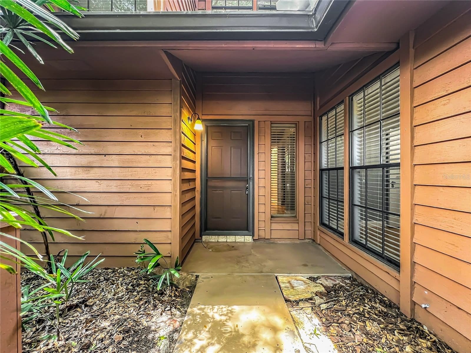 Photo 4 of 125 RAINTREE