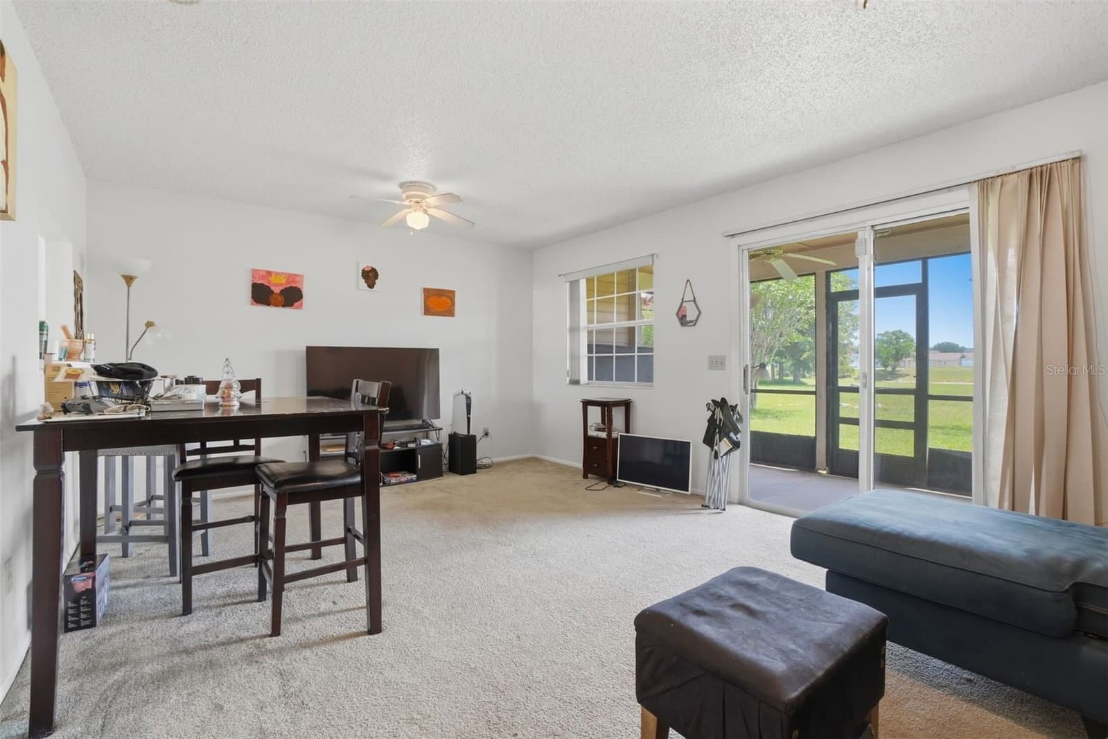 Photo 5 of 2025 WATERLEAF
