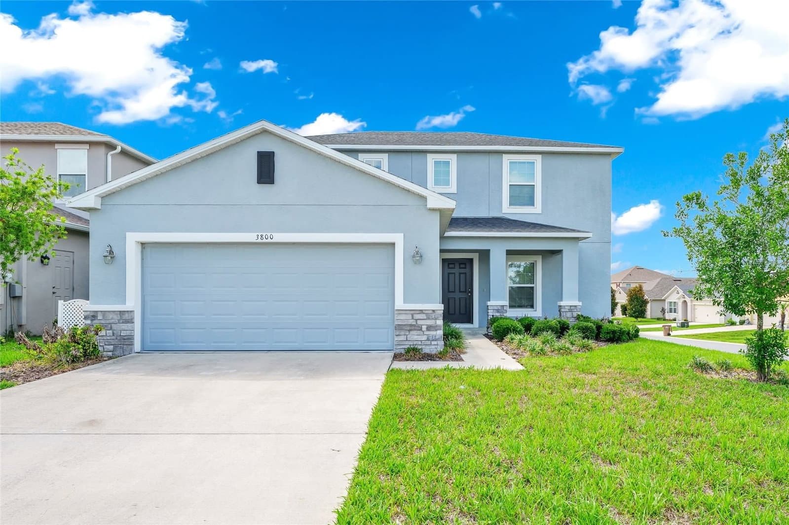 3800 FESCUE
