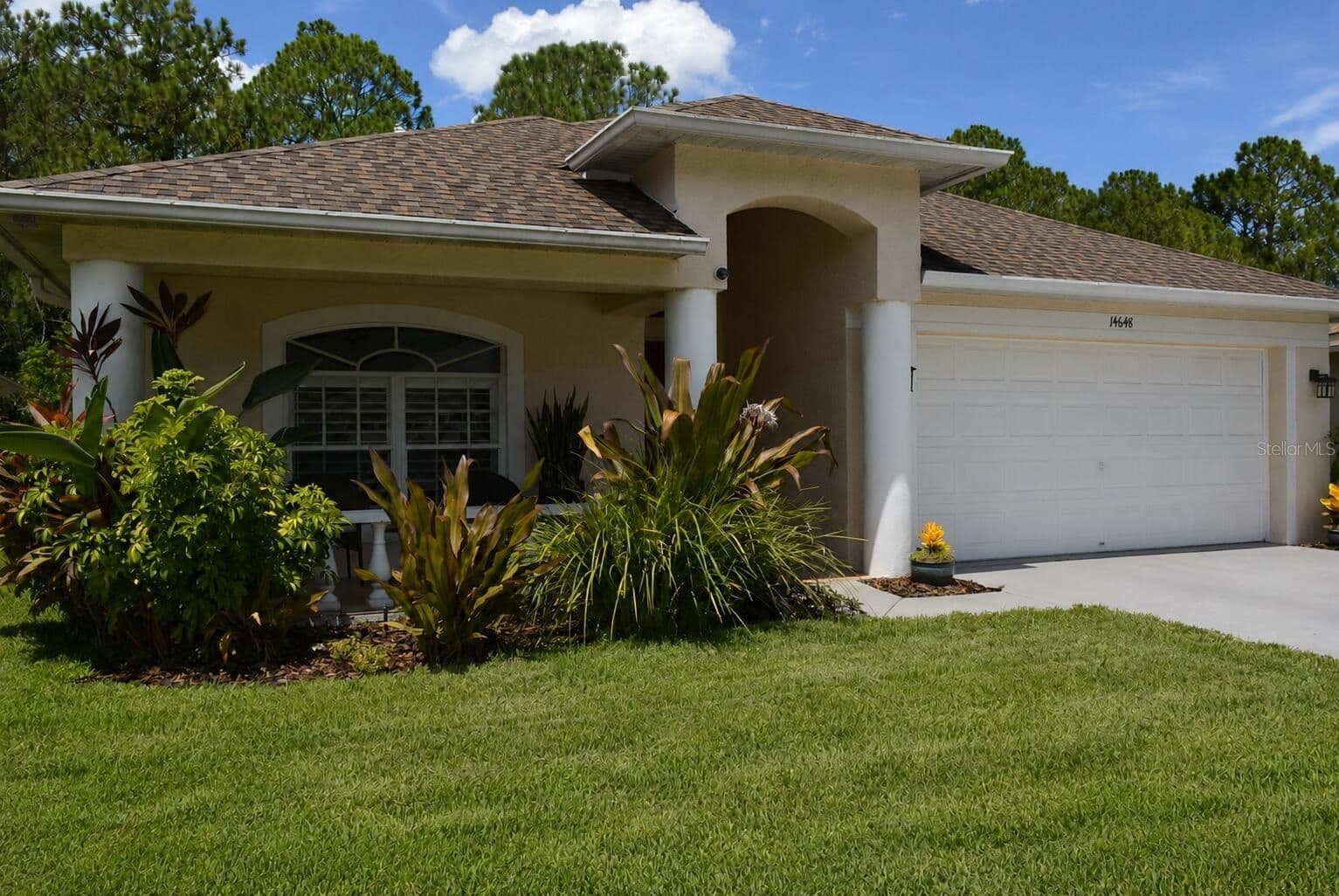 14648 CORKWOOD