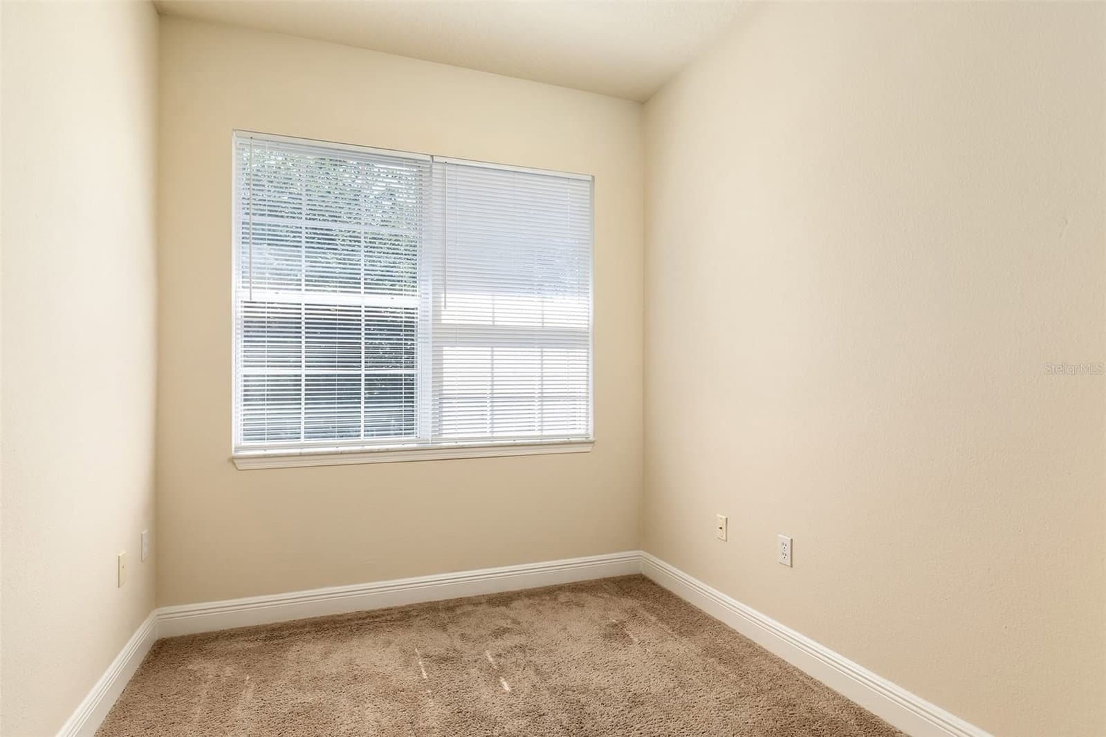 Photo 5 of this home
