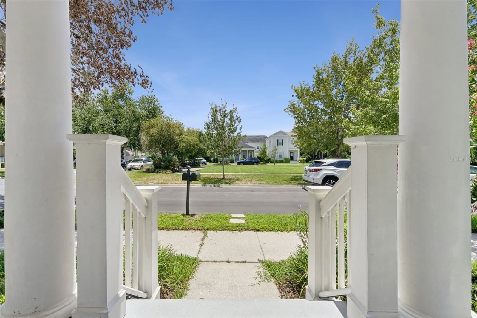 1102 GOLDENASTER