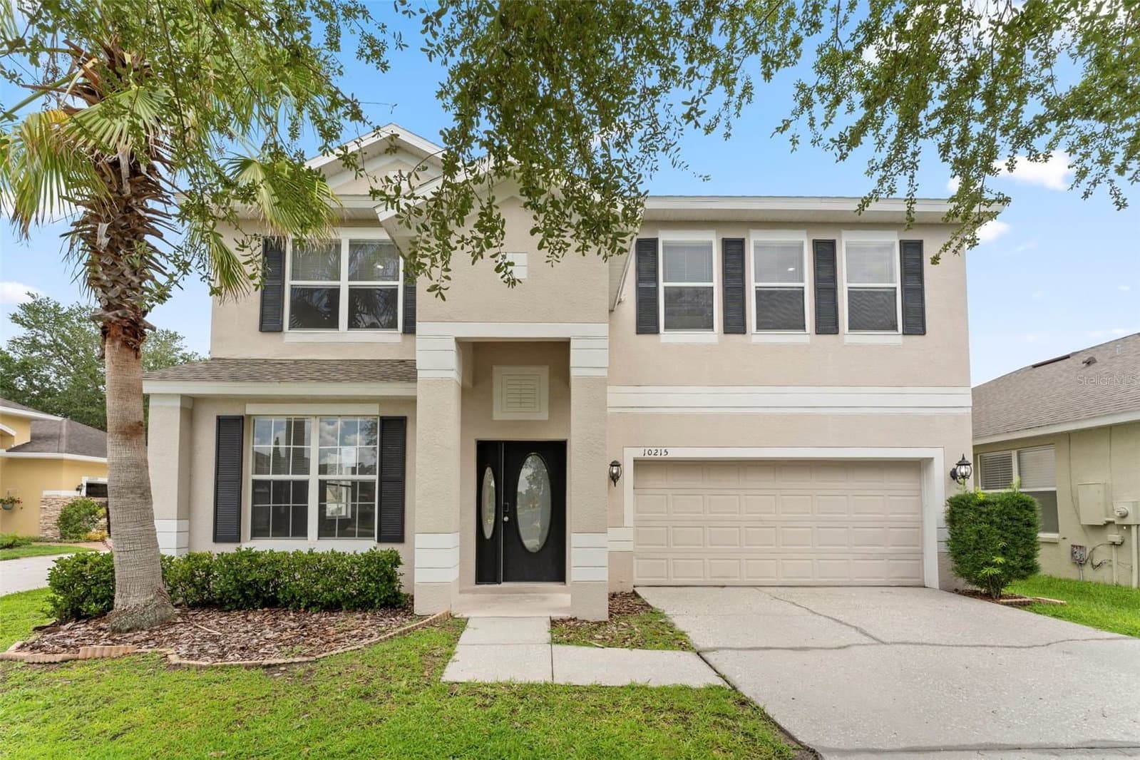 10215 CYPRESS KNEE