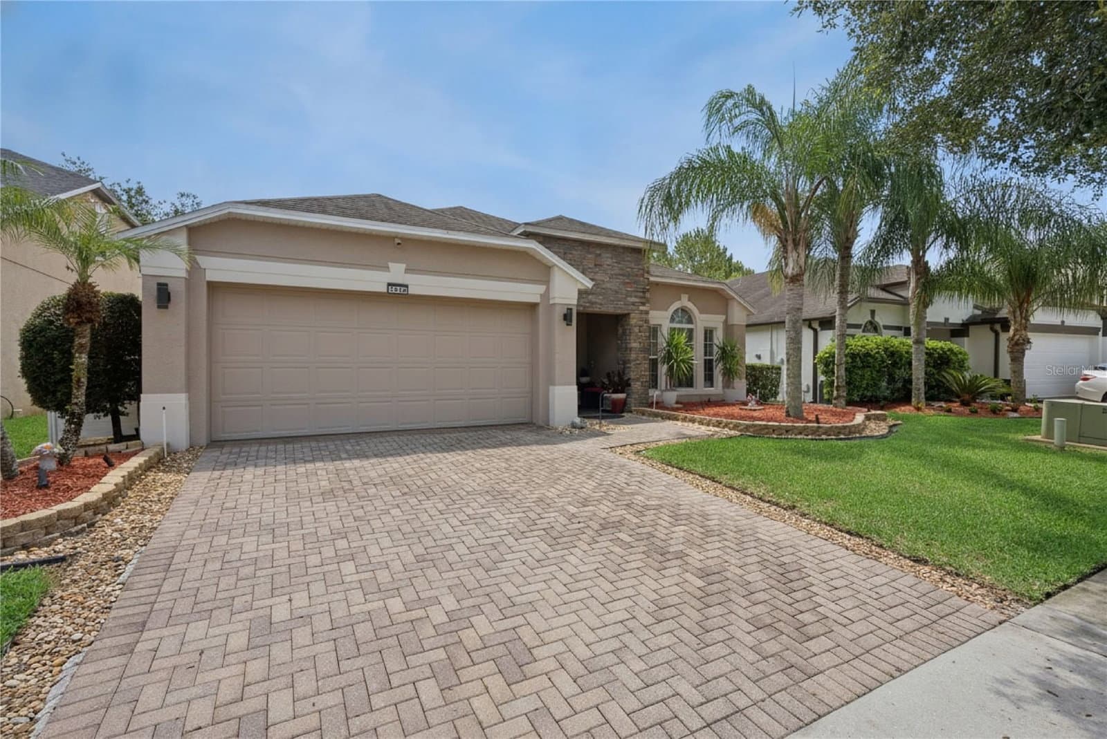 1519 BALSAM WILLOW