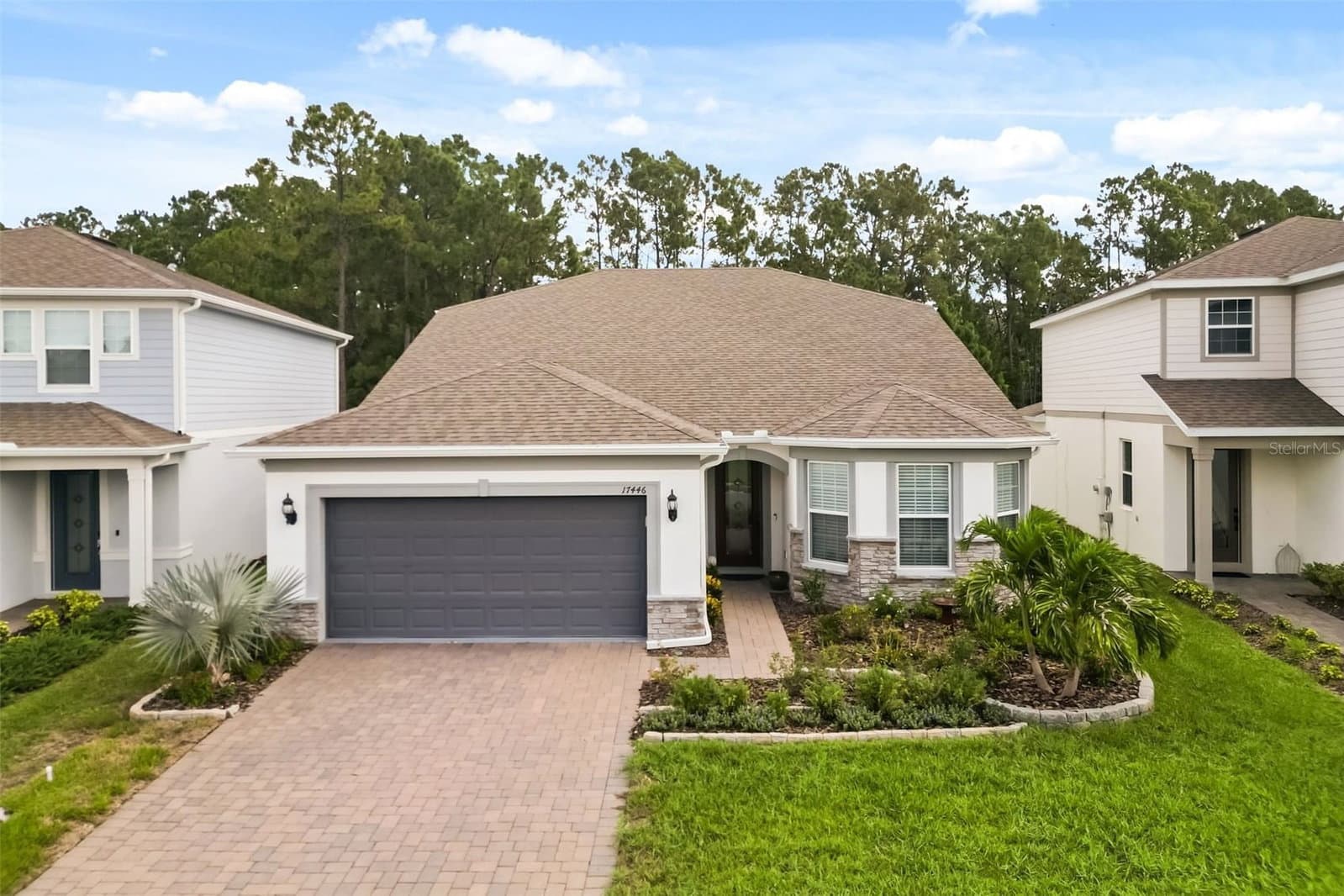 17446 SAW PALMETTO