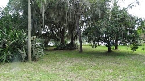 9444 LAKE HICKORY NUT
