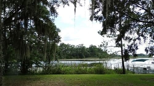 9444 LAKE HICKORY NUT