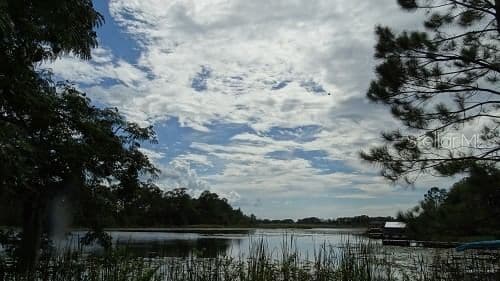 9444 LAKE HICKORY NUT