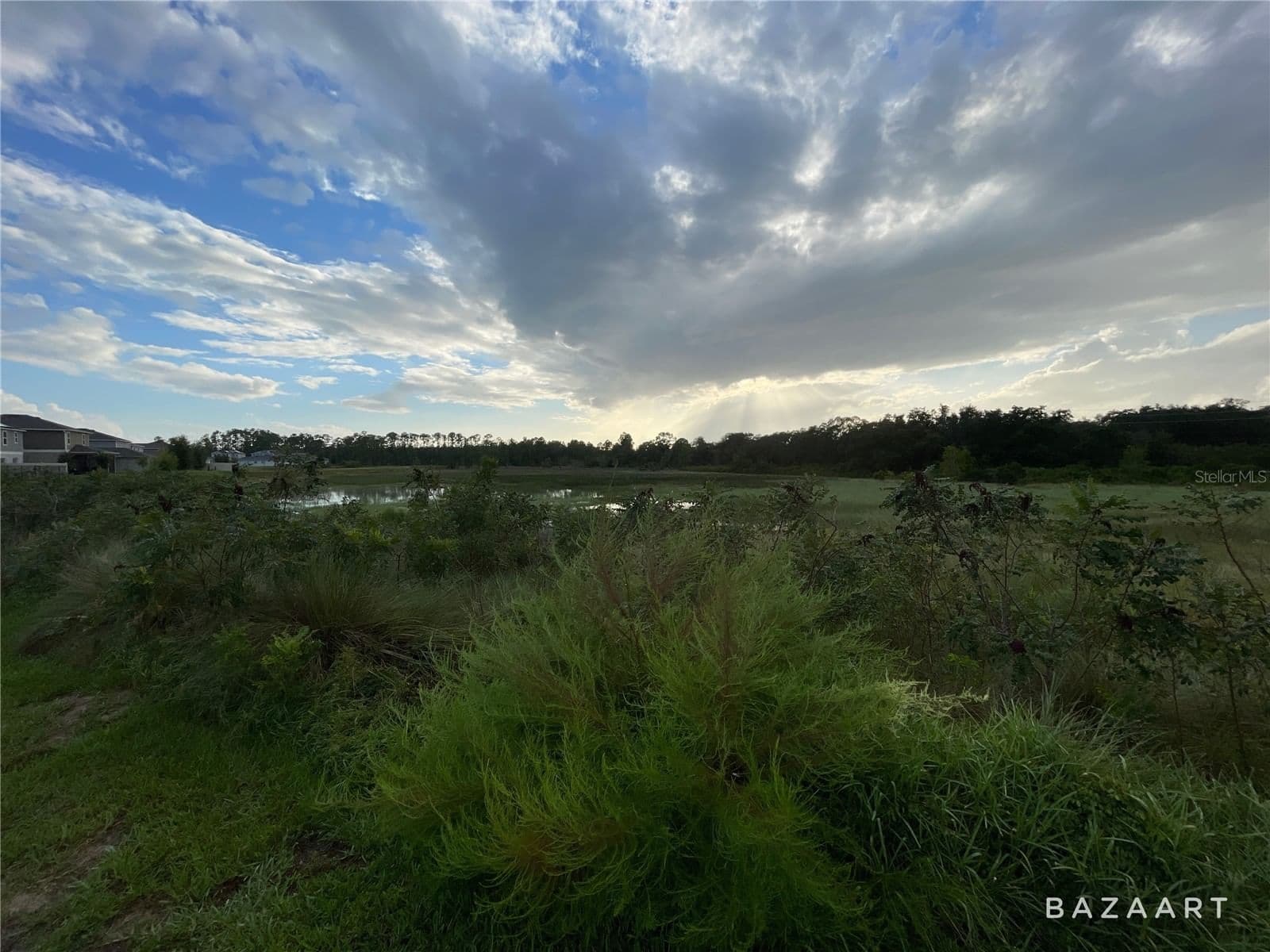 Photo 4 of 1349 SAWGRASS HAMMOCK