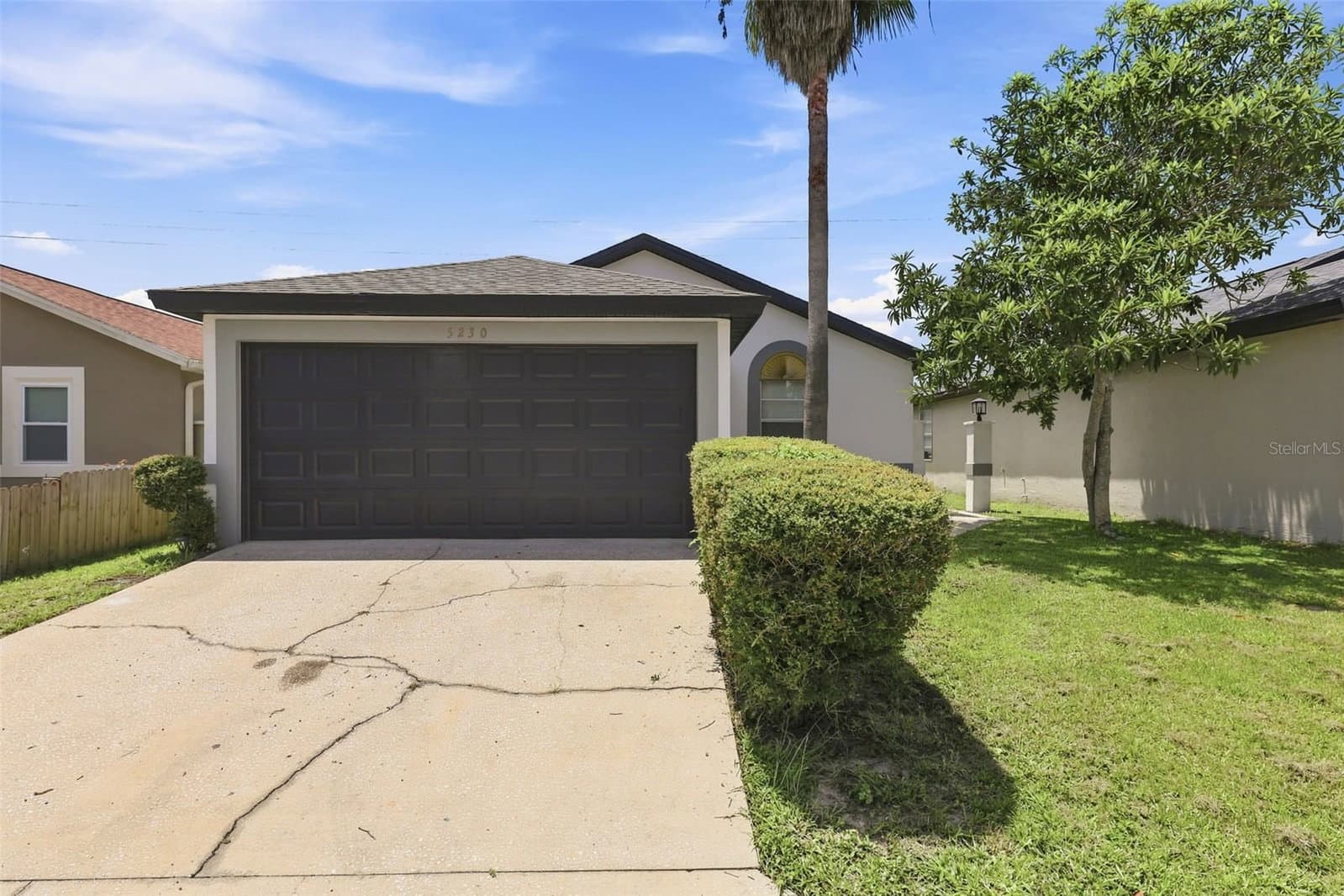 5230 FLORIDA HOLLY