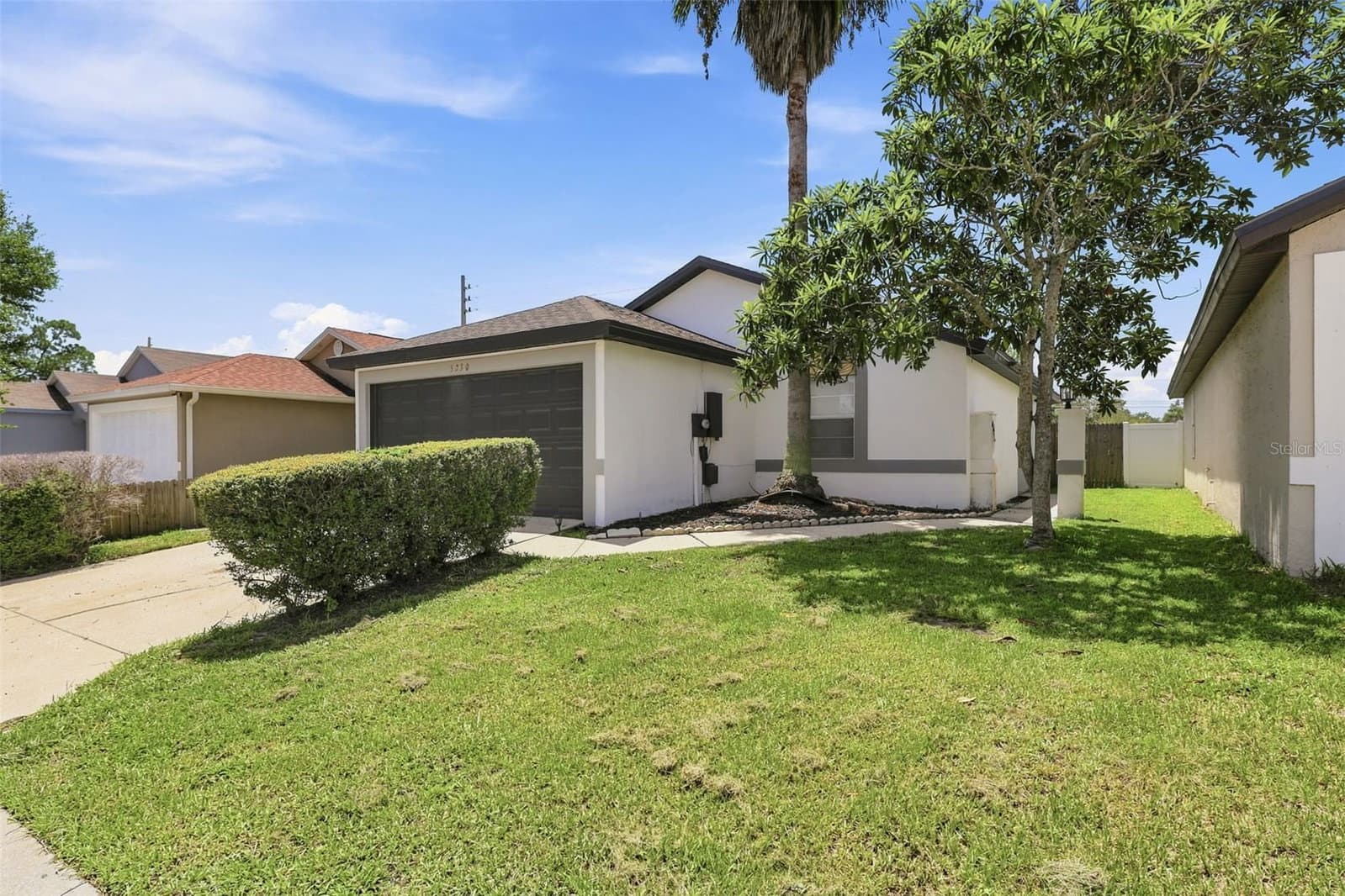 5230 FLORIDA HOLLY