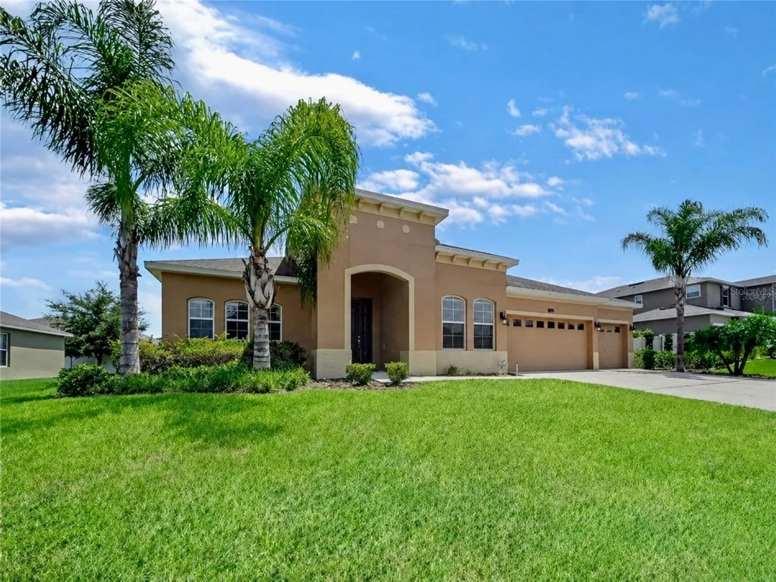 428 PALASTRO