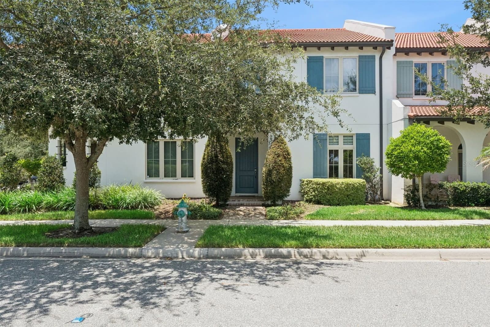 8932 BISMARCK PALM