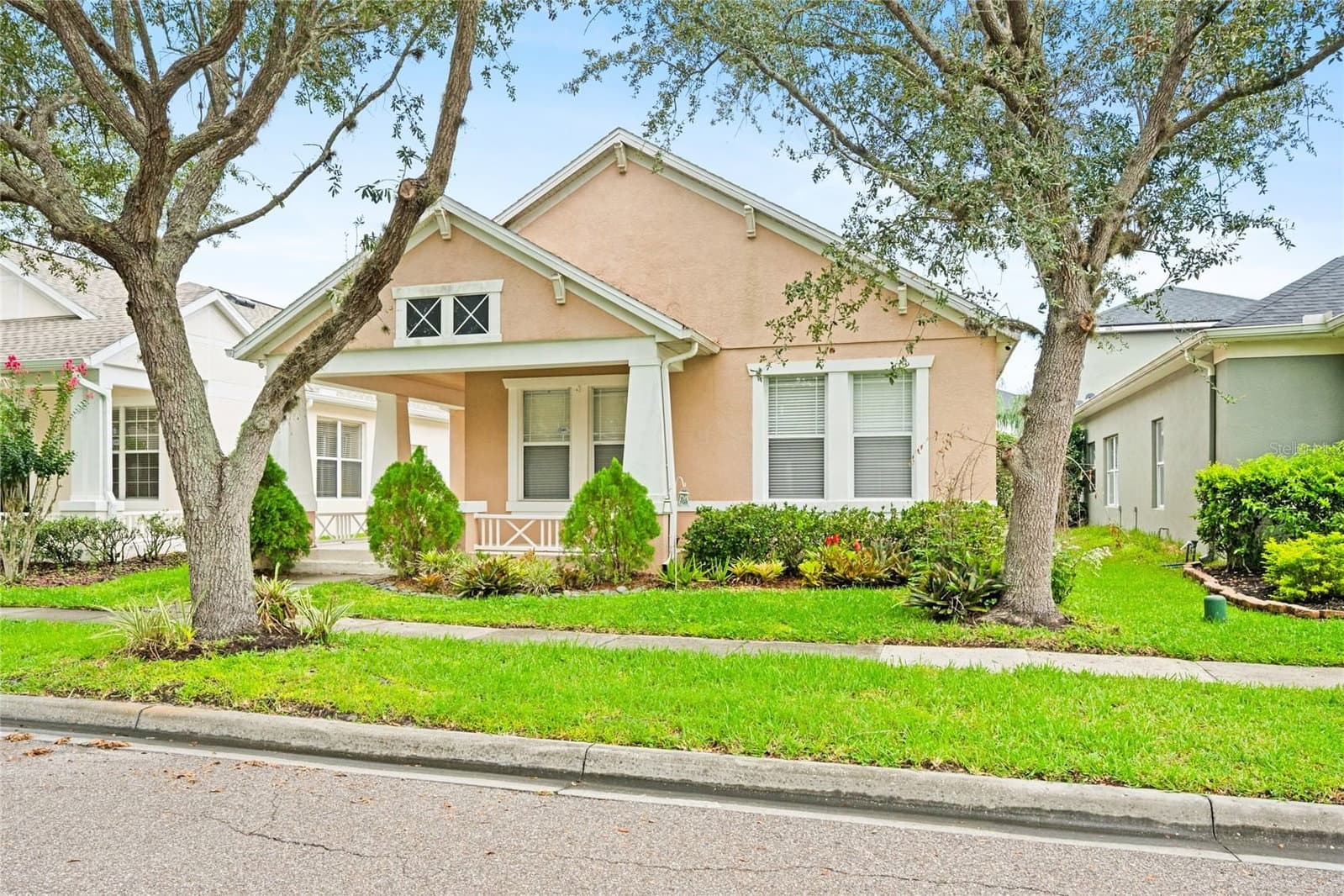 14475 JAMAICA DOGWOOD