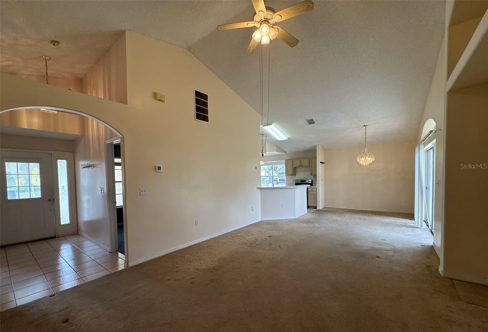 357 THORNBUSH