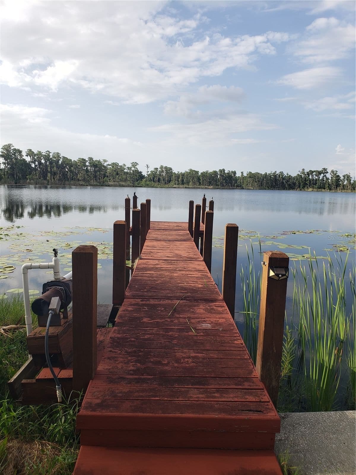 17101 ARROWHEAD, Winter Garden, FL