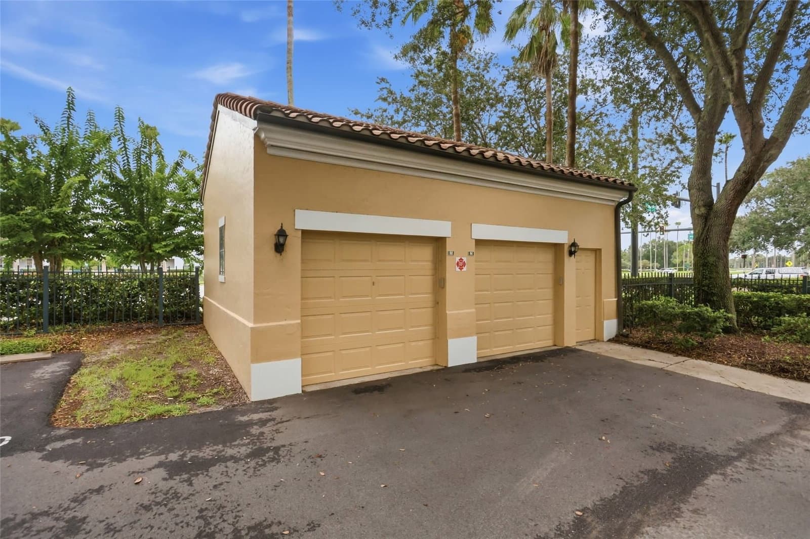 700 SIENA PALM