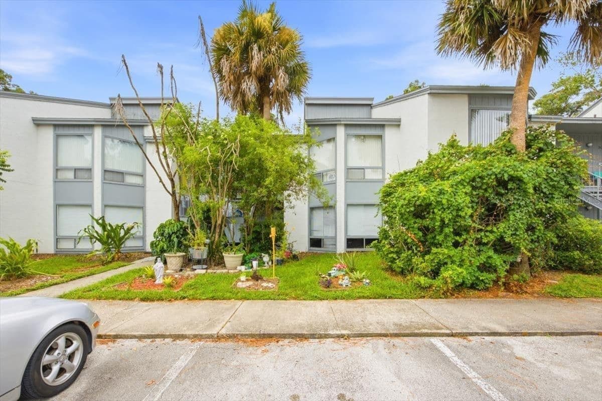 2628 LEMON TREE