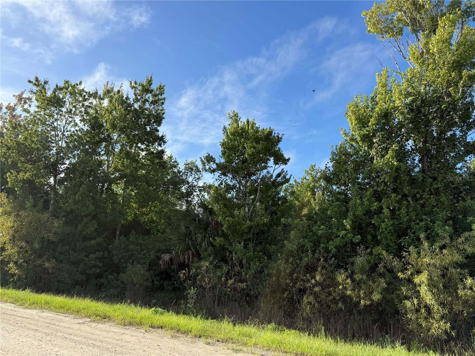Photo 4 of 700 W SHADY HOLLOW Boulevard