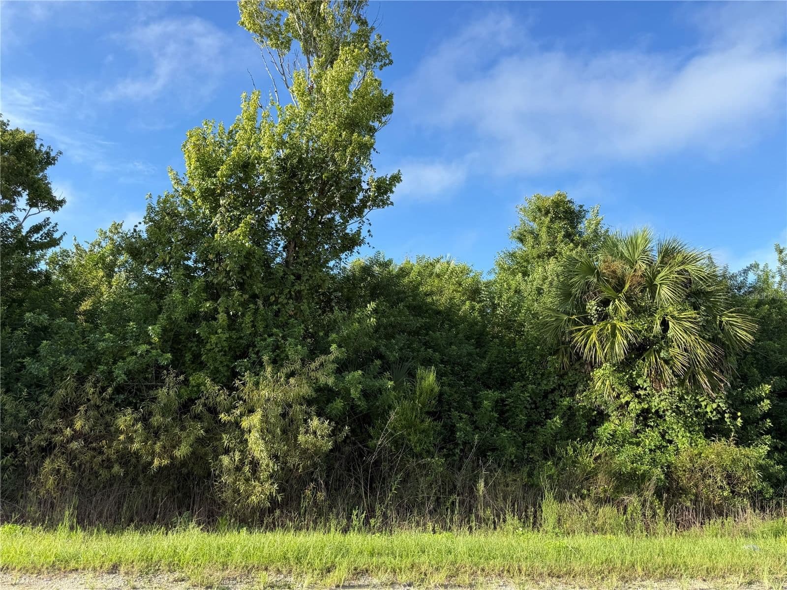 Photo 5 of 700 W SHADY HOLLOW Boulevard