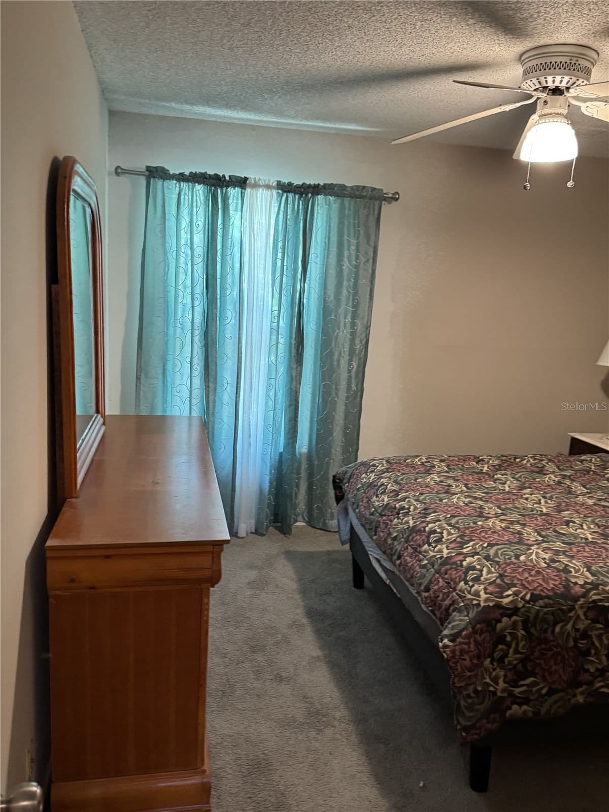 2512 LEMON TREE