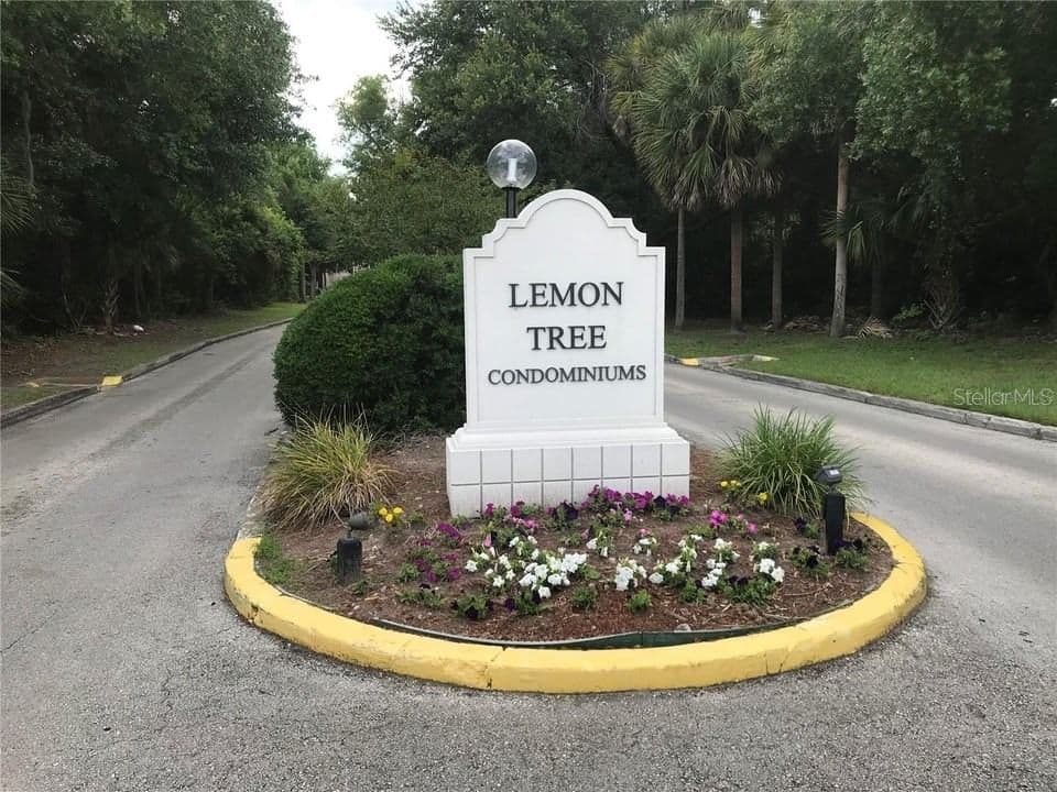 2512 LEMON TREE