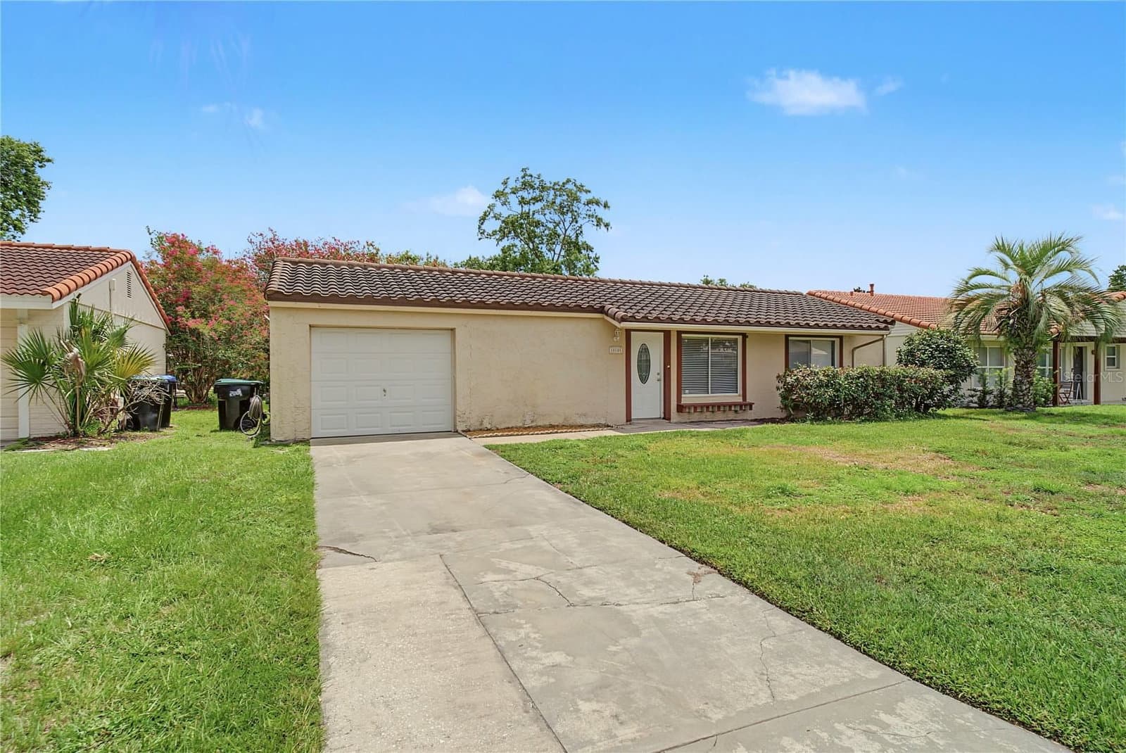 10145 BLUFF
