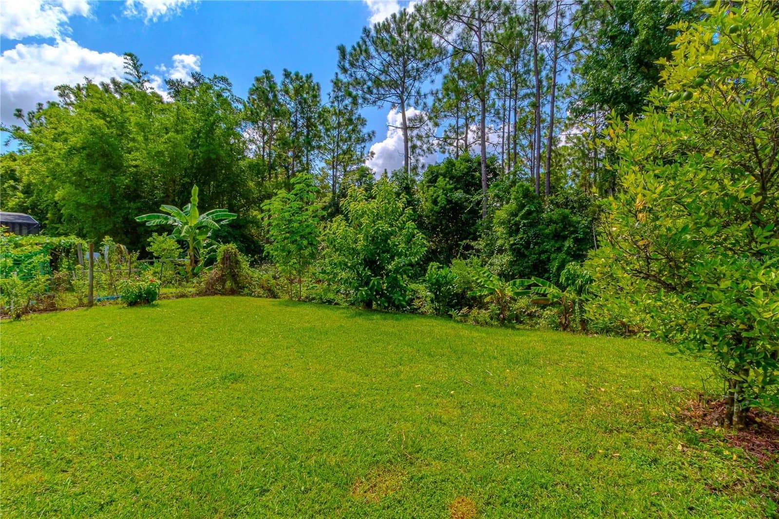10462 WILLOW RIDGE Loop