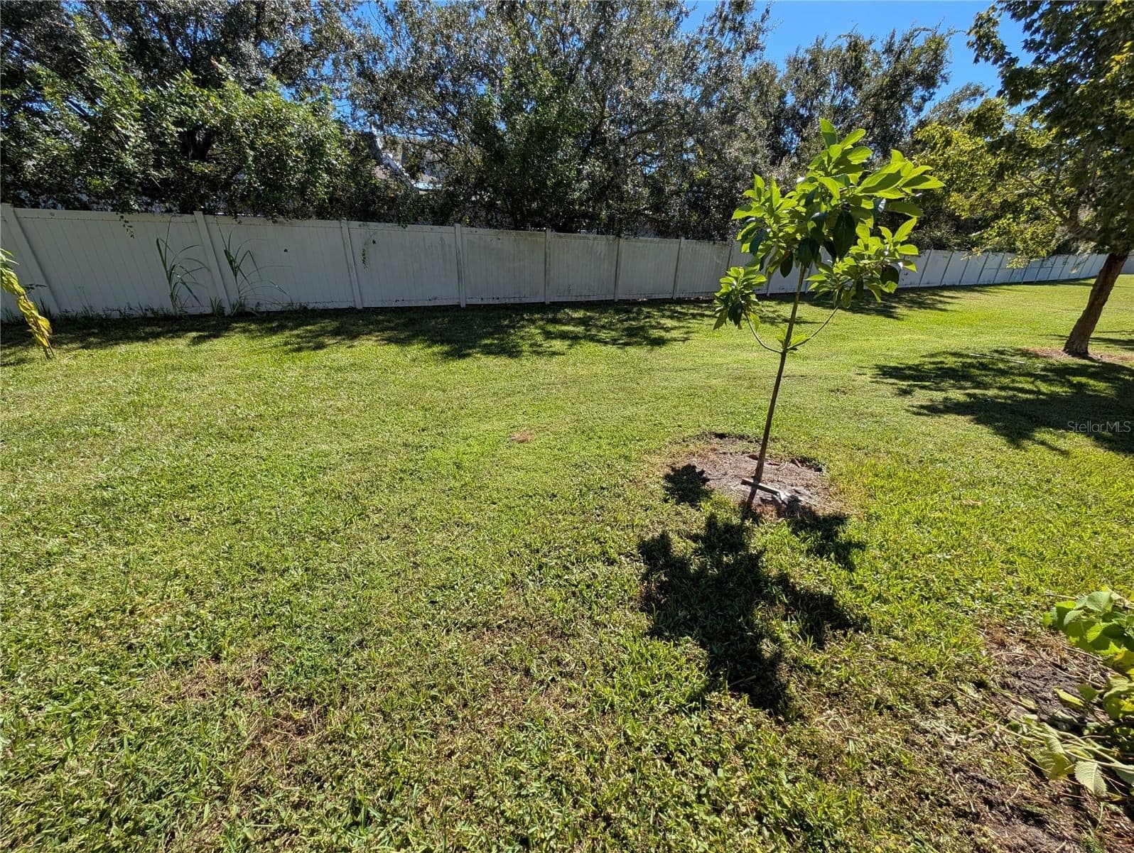 Photo 5 of 2203 CHATHAM PLACE Drive