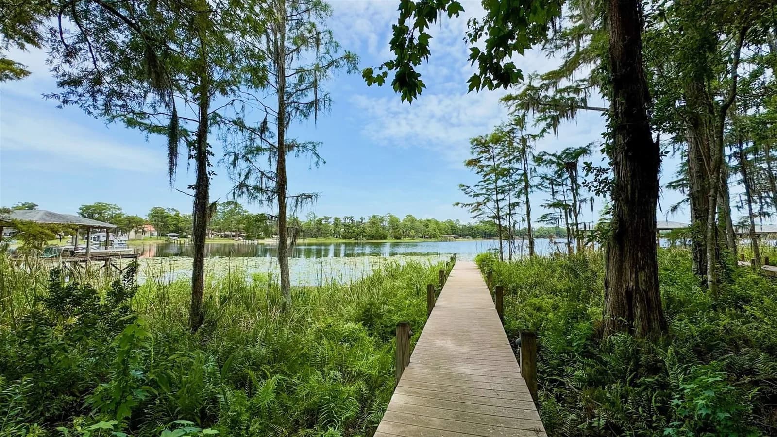 Photo 5 of 14125 DEEP LAKE Drive