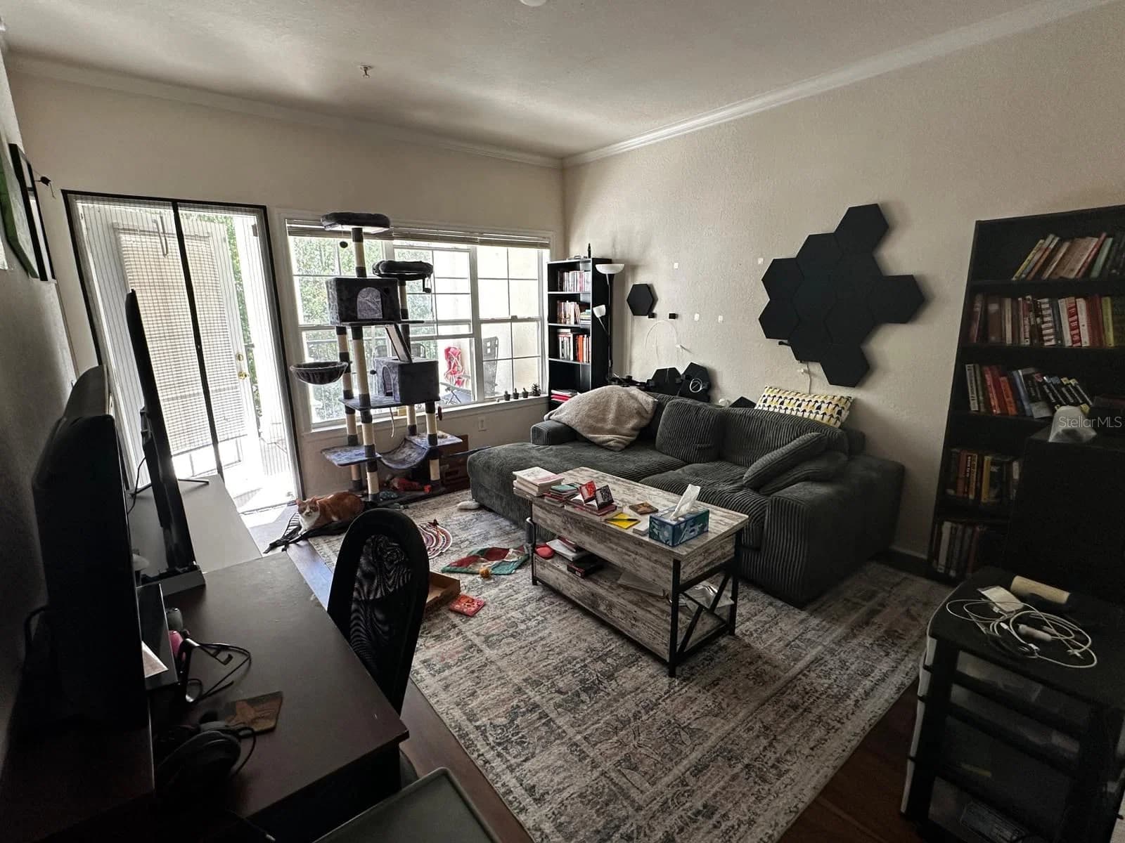 Photo 5 of 3605 CONROY Road #524