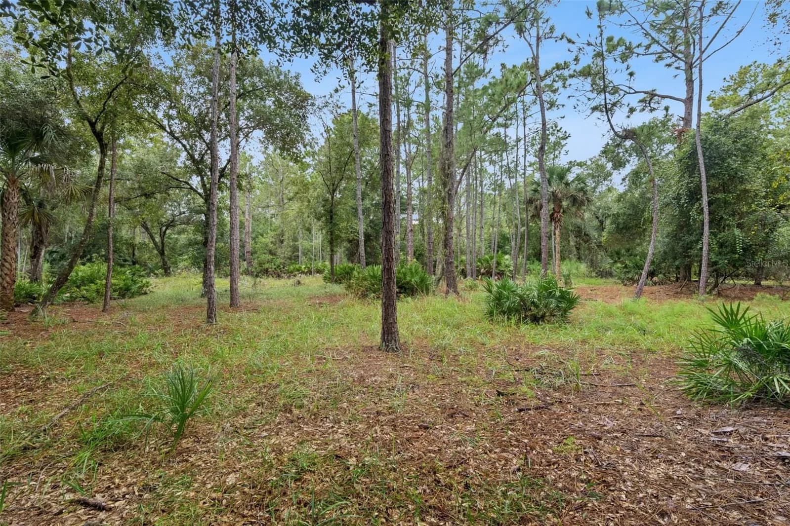 Photo 4 of 14133 LUND Drive