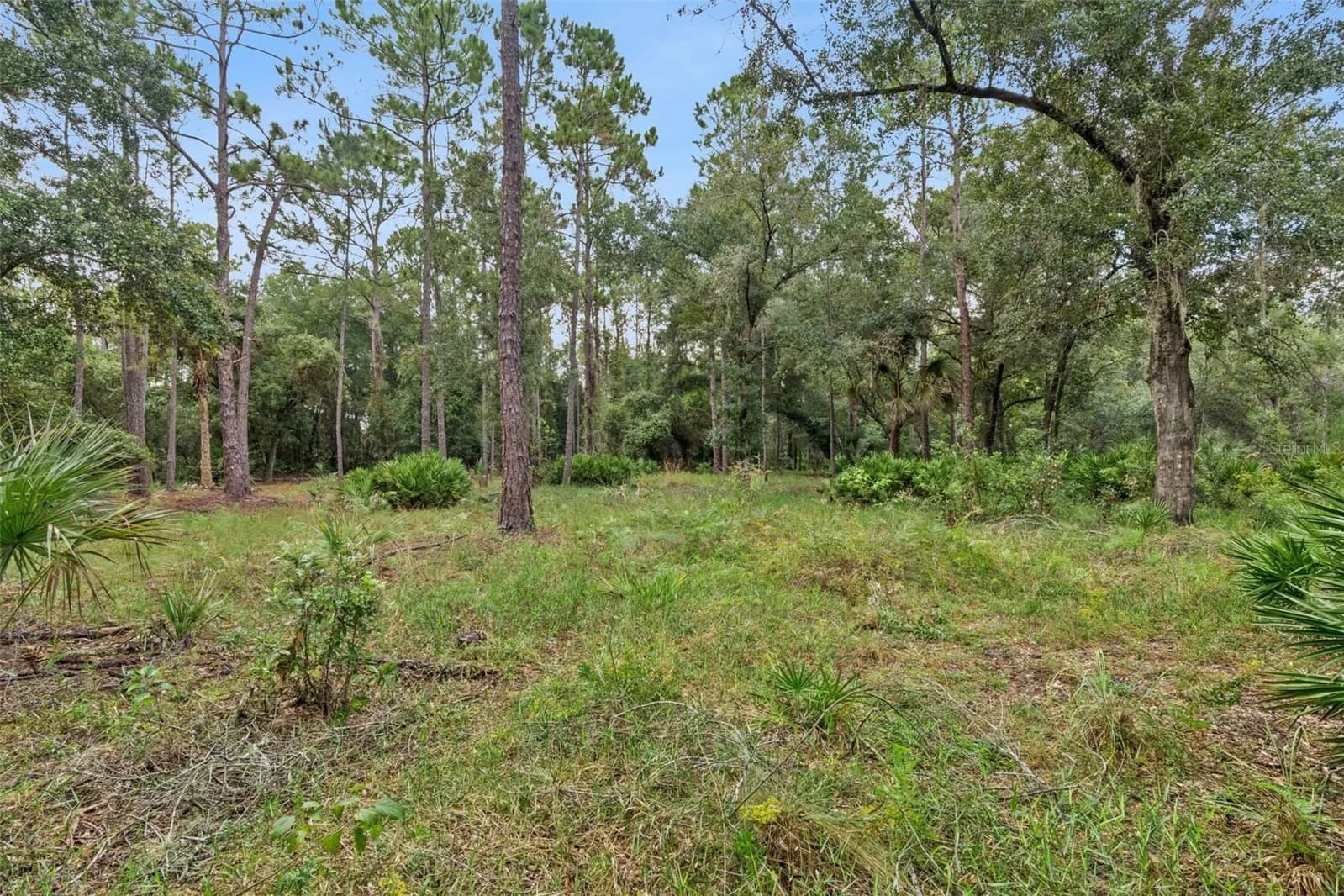 Photo 5 of 14133 LUND Drive
