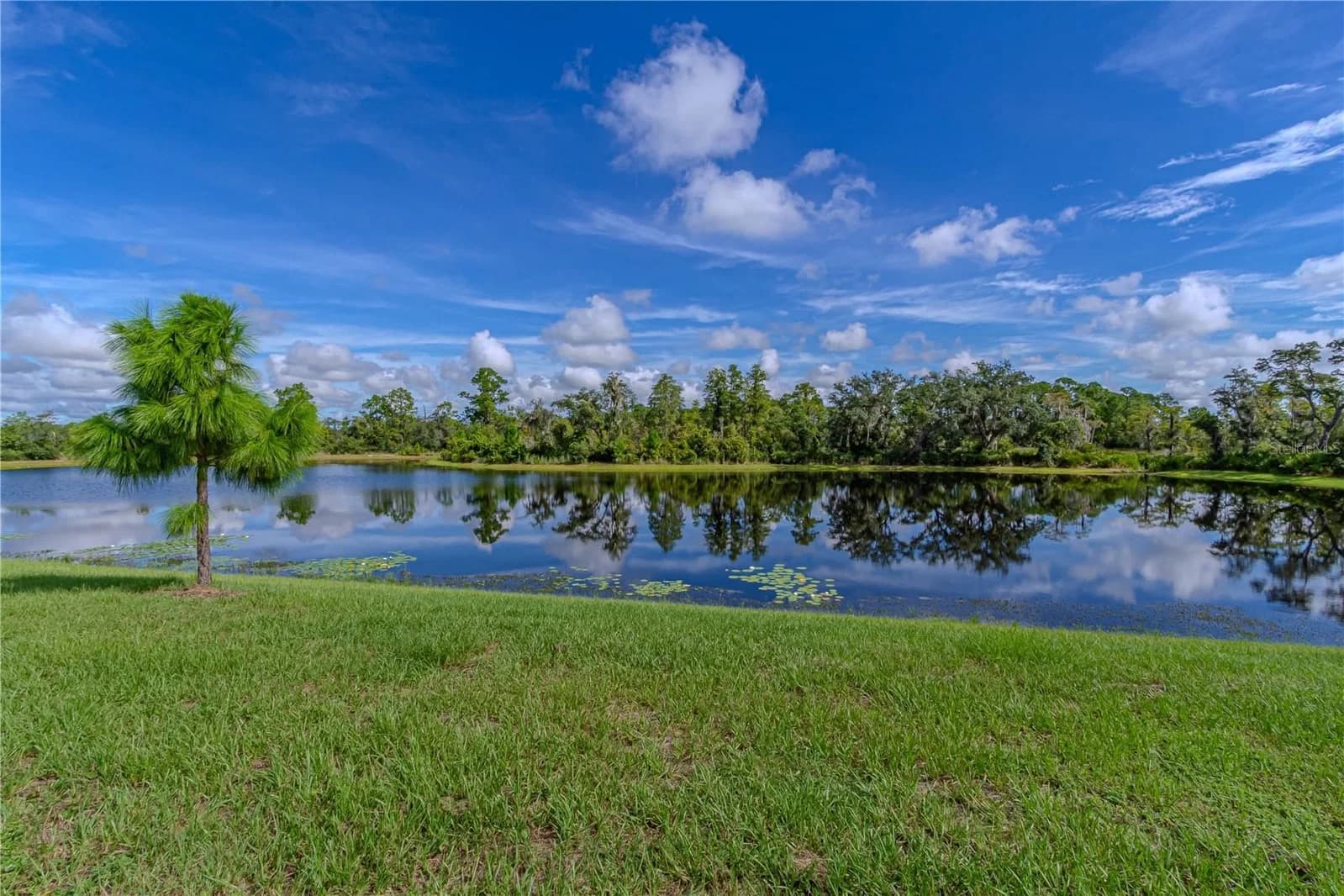 17558 BLAZING STAR Circle