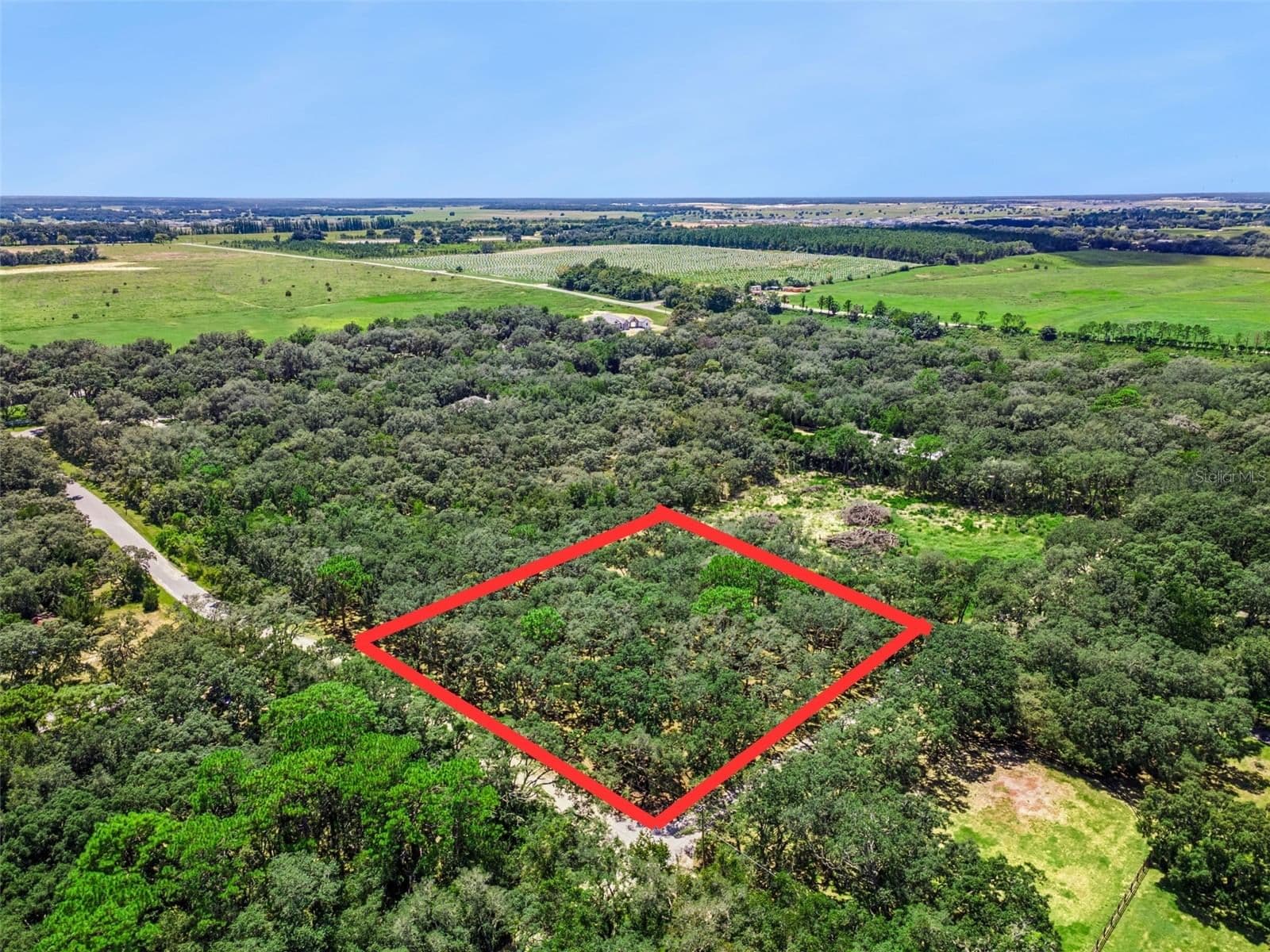 17206 RED BIRD Road