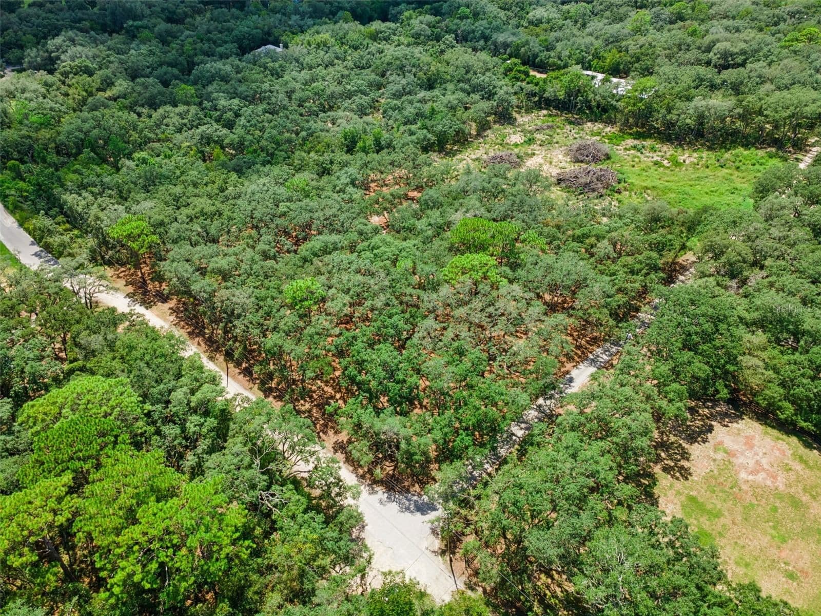 17206 RED BIRD Road